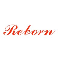 Shenzhen Reborn Intelligent Equipment Technology Co., Ltd. logo - Similar company to Polly Automatic Co., Ltd