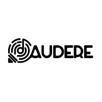 Audere Srl logo - Similar company to Fm Consulting