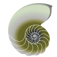 Damariscotta Montessori School logo - Similar company to The Eizans Group