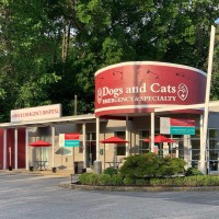 Dogs and Cats Emergency & Specialty logo - Similar company to Dogs Connect
