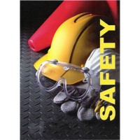 SafetyWins.com logo - Similar company to Safetywise