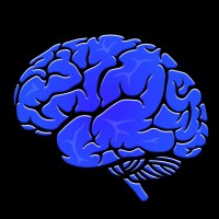 PsyPost logo - Similar company to Center For Psychedelic Policy