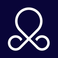 Octopi logo - Similar company to Papamanolis Development