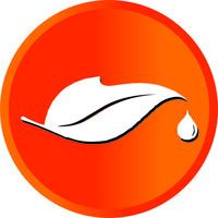 Pachouli Skin Care logo - Similar company to Trinity Green Technologies Pvt. Ltd.