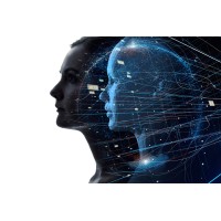 Data Twin logo - Similar company to I Will Do Data Entry, Internet Research, And Data Analysis