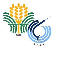 BFAR MIMAROPA Regional Office logo - Similar company to Bureau Of Fisheries And Aquatic Resources