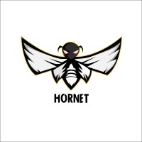 Hornet logo - Similar company to Drivershaab