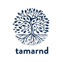 Tamarnd Applied Sciences Ltd logo - Similar company to Morph Digital Interactive