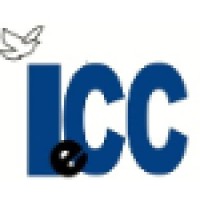 International Ecommerce Consultants