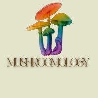 Mushroomology logo - Similar company to Vital Hope
