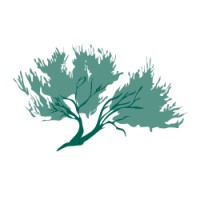 Sage Forensic Accounting, Inc. logo - Similar company to The Ijaz Group