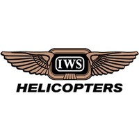 IWS Aviation logo - Similar company to Sailing Madeira Performance