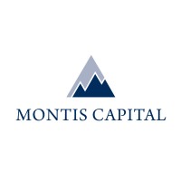 Montis Capital logo - Similar company to Aiqa Technologies