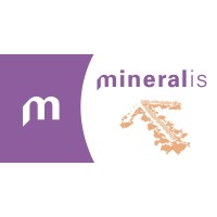Mineralis logo - Similar company to Rijs Ict Solutions