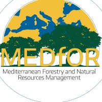 MEDfOR logo - Similar company to Swissforestlab