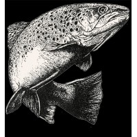 Charles Murgat Pisciculture logo - Similar company to Ab Fish