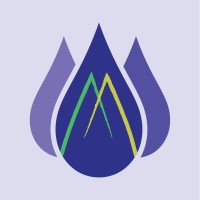 Absolute Ananda logo - Similar company to Dmimarketing