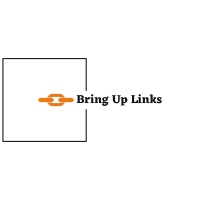 BringupLinks Pvt Ltd logo - Similar company to Amazing Mixed Media Minds