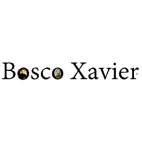 Bosco Xavier Ltd logo - Similar company to Alongside Ai