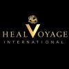 Healvoyage International Pvt. Ltd. logo - Similar company to Vividdose