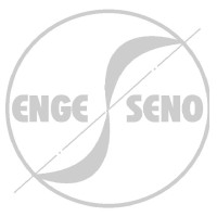 Engeseno logo - Similar company to Python Engenharia