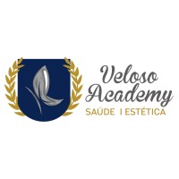 Veloso Academy logo - Similar company to Kitera