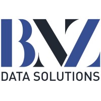 BNZ Data logo - Similar company to 47 Consulting