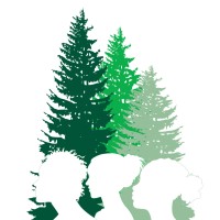 Women'S Forest Congress