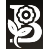 Bloomerang logo - Similar company to Bloomerang Solutions