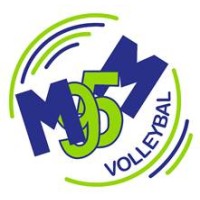 Emmen '95 Volleybal logo - Similar company to Stadskerk Emmen
