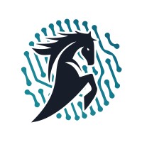 DigiSteed logo - Similar company to Volisela