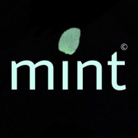 Mínt logo - Similar company to V21 Studio