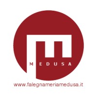 Falegnameria MEDUSA - Arredo & Design logo - Similar company to Falegnameria Di Lorenzo