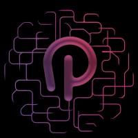 Prompt Pioneers logo - Similar company to Casetech