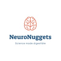 NeuroNuggets logo - Similar company to Mit Introduction To Technology, Engineering, And Science (Previously Oeop)