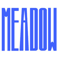 Meadow logo - Similar company to Docketbird