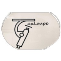 TaxLoupe logo - Similar company to Fhi