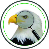 Elyon Pro Accounting logo - Similar company to Ernest Accounting & Consulting