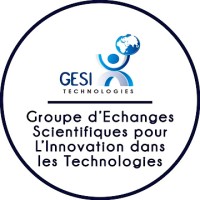 GESI - Tech Goma logo - Similar company to Net Idf