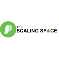 The Scaling Space logo - Similar company to Space And Scale Technical Works Llc