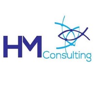 HM Consulting Officiel logo - Similar company to Cergi Sa