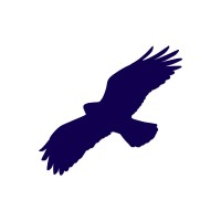 Buzzard Lifting & Haulage Ltd logo - Similar company to Tmcl & Sons Contracts Ltd