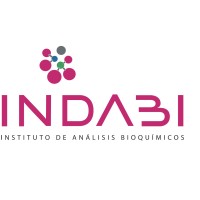 INDABI logo - Similar company to Working Srl