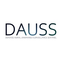 Team DAUSS logo - Similar company to Supr Foundation