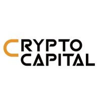 Crypto Capital 加密资本 logo - Similar company to Algorithm X Capital