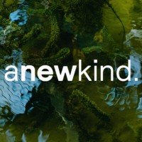 anewkind.studio logo - Similar company to The Spaceship Academy Ltd.