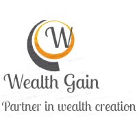 Wealthgain logo - Similar company to Digibits