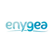 ENYGEA logo - Similar company to Enigea