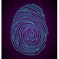 Grow Solutions aXeleration logo - Similar company to Net4Work