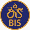 Bali Island School logo - Similar company to Coconut Thinking